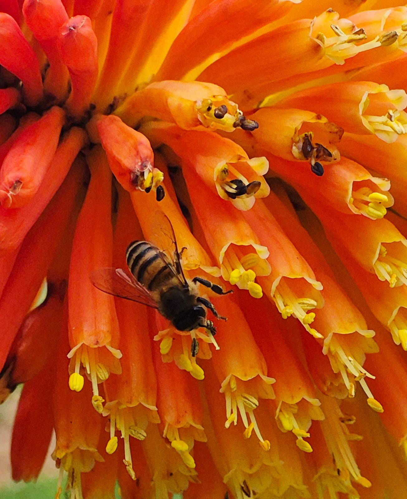 WhatsApp Image 2025-10-17 at 18.57.14